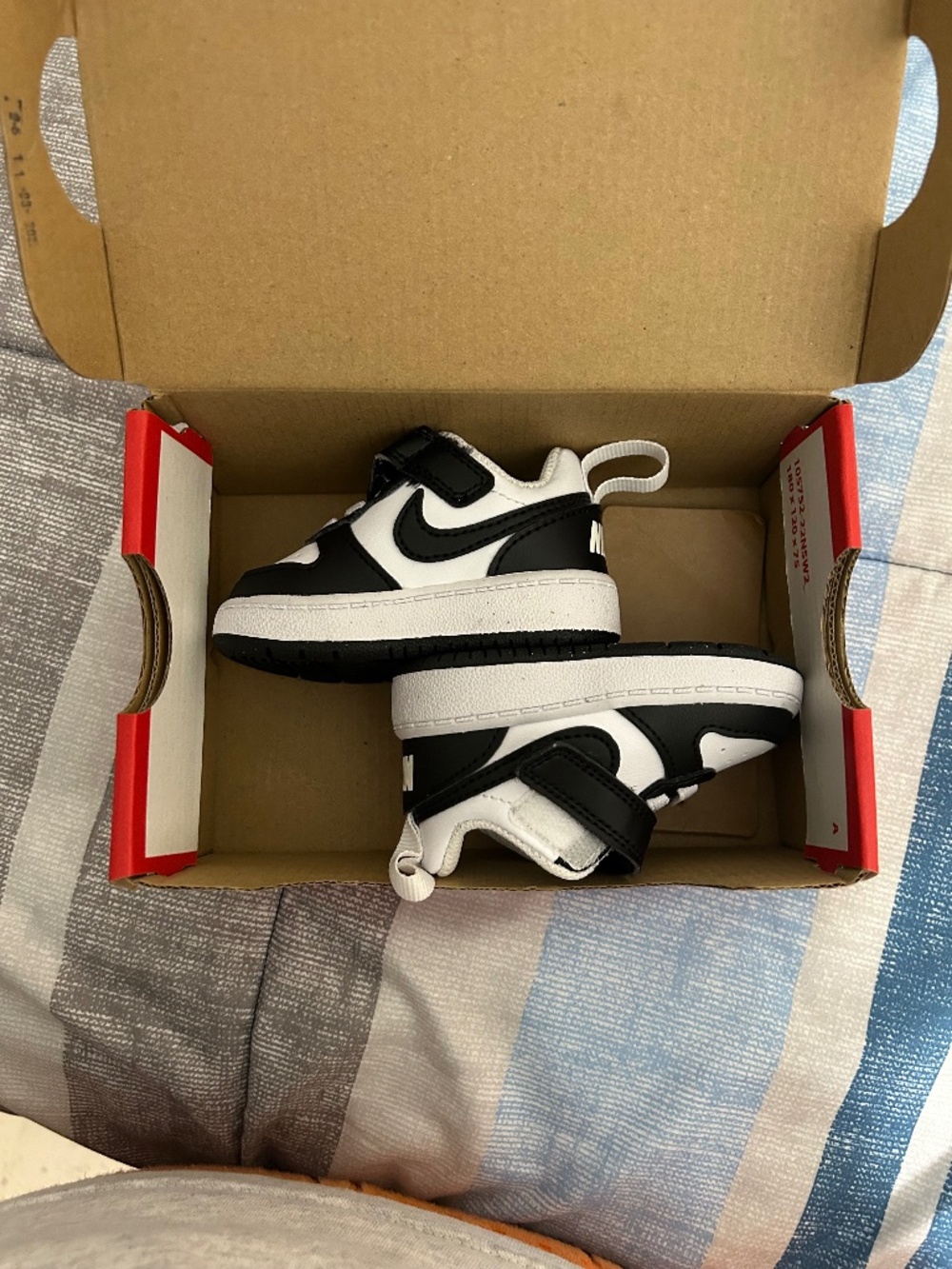 Panda dunks